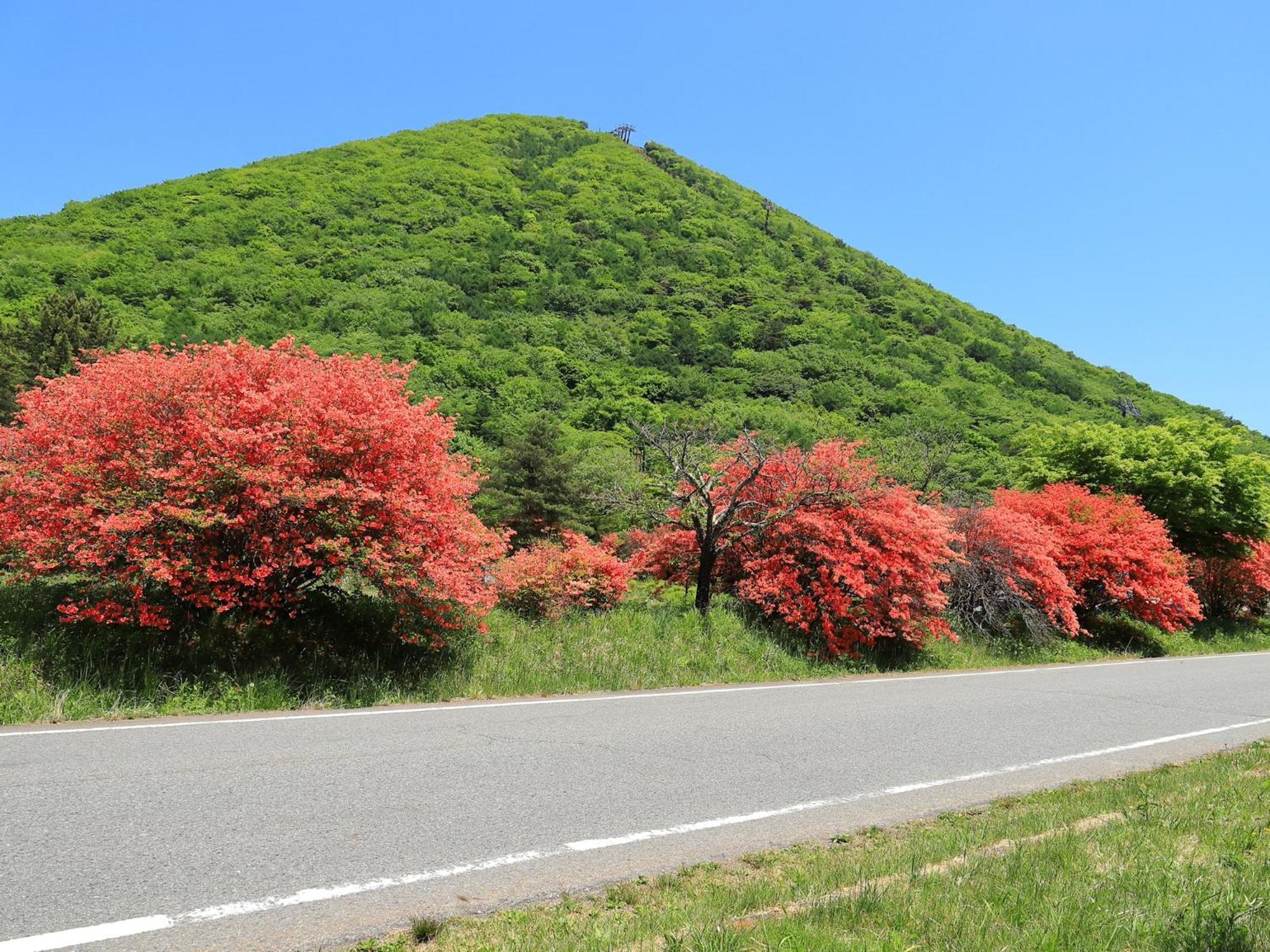 Hotel Omori Shibukawa Exteriér fotografie